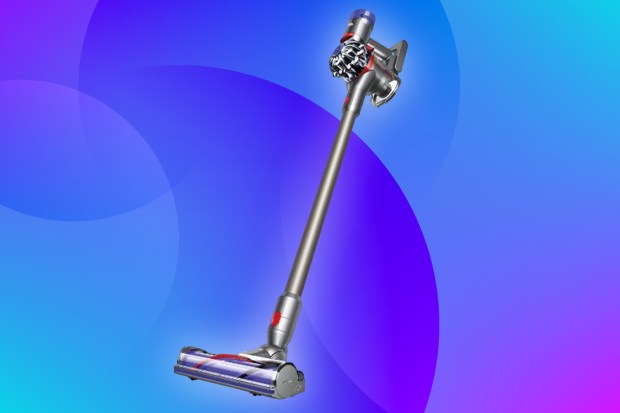 dyson-v8-animal-review