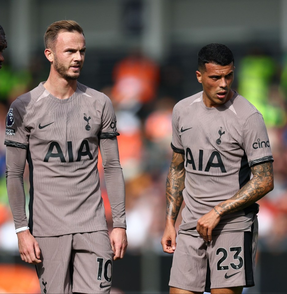 Spurs have put their losses down to summer signings