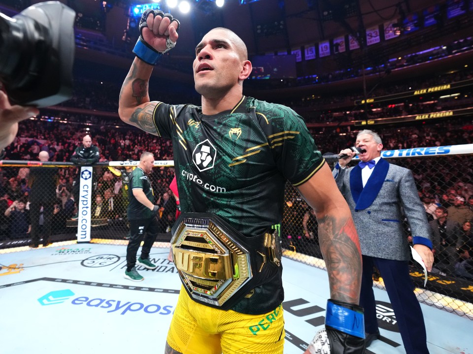 Alex Pereira became the fastest two-weight champion in UFC history last November