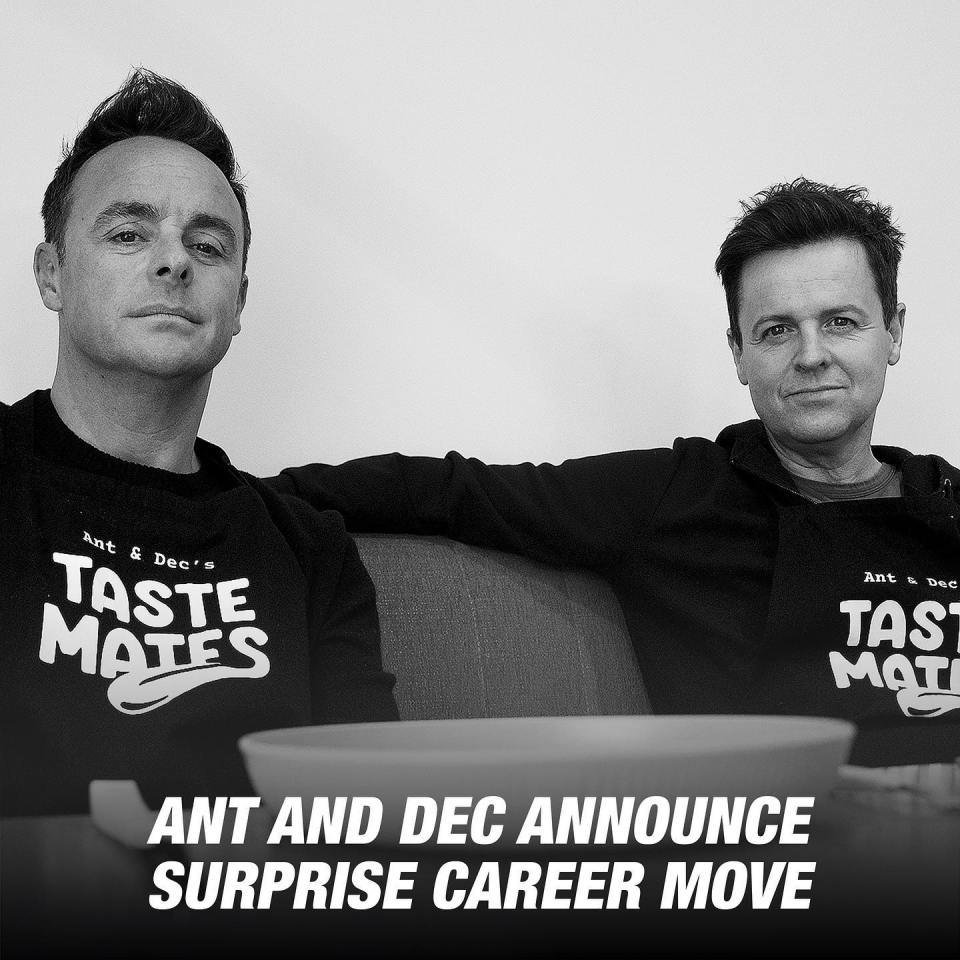 Ant and Dec are 'launching a new business after giving up their careers'