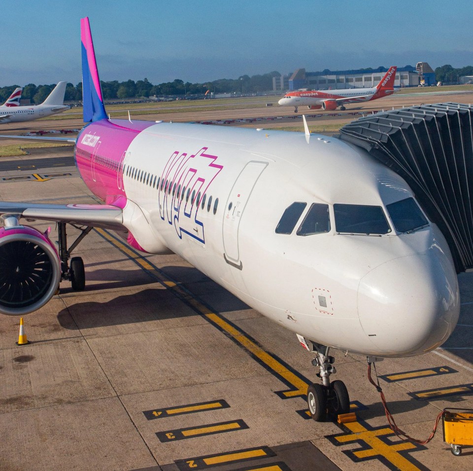 Firefly has signed a deal with Wizz Air to provide up to 525,000 tons of SAF over 15 years