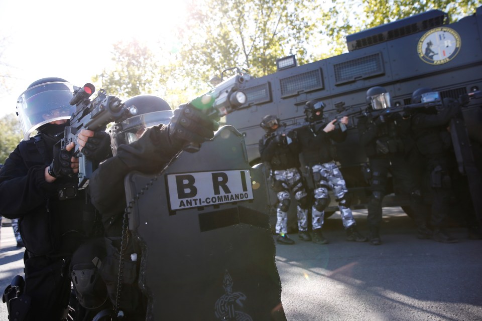 France's elite cops - the BRI - specialise in counter-terrorism in the capital