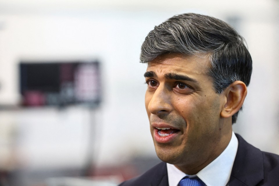 Prime Rishi Sunak said The Sun's Turkey Surgery Investigation findings were 'concerning'