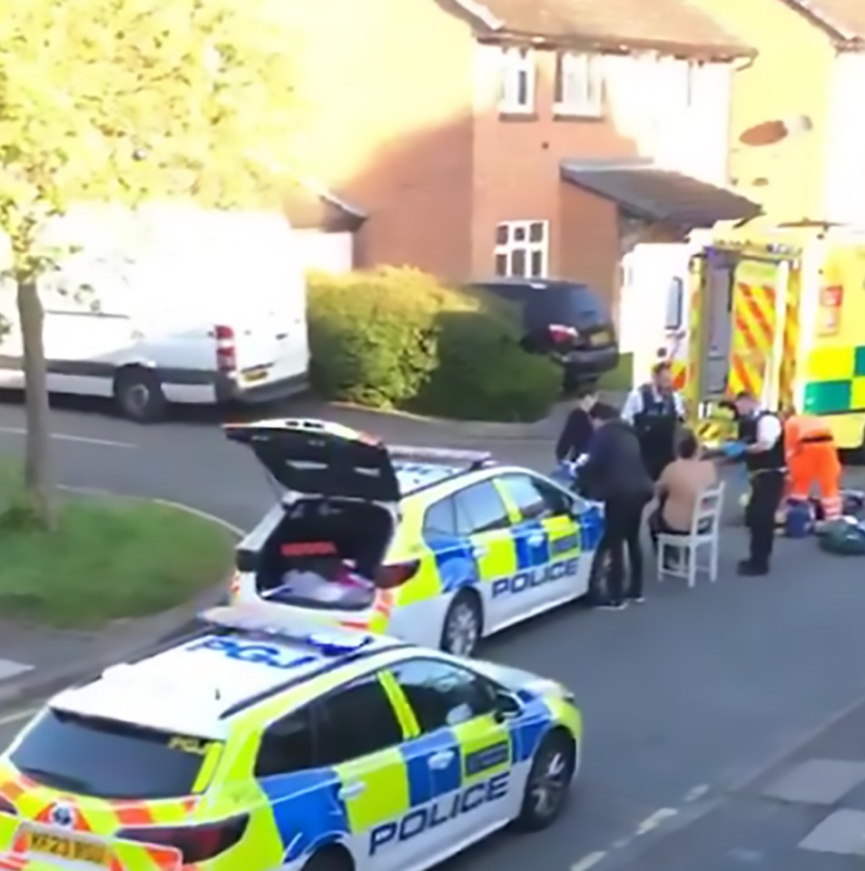 Five people were rushed to hospital following the frenzy