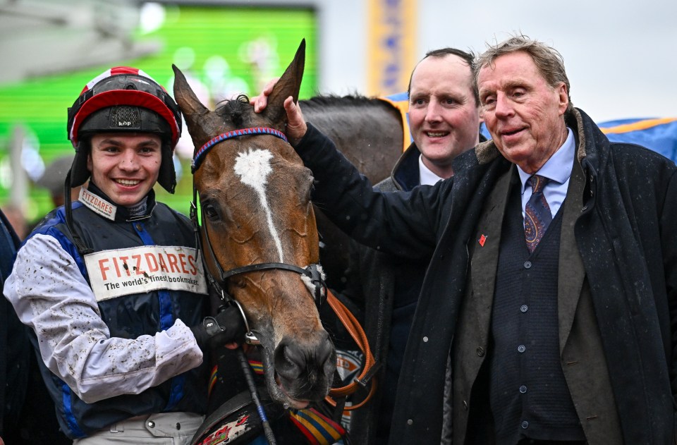 Harry Redknapp's top horse Shakem Up'Arry - named after a West Ham fan - won't run in the Grand National but could still make his owner a fortune at Aintree