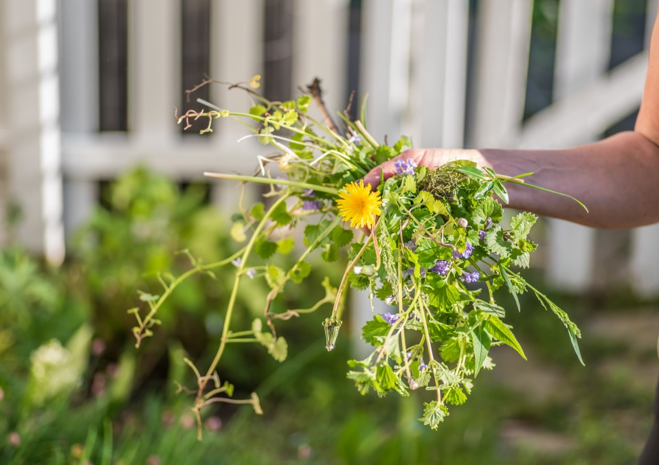 So if your path or driveway is covered in the nasty green stuff, you'll need to give this a try