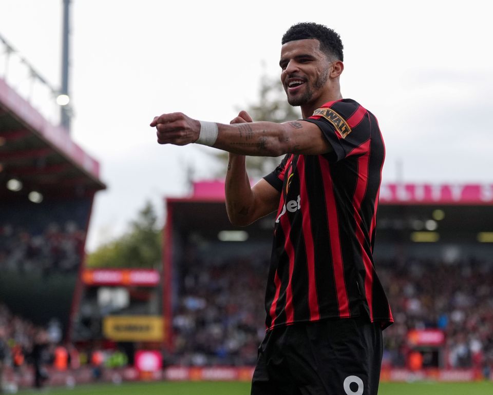 Solanke celebrates his opener