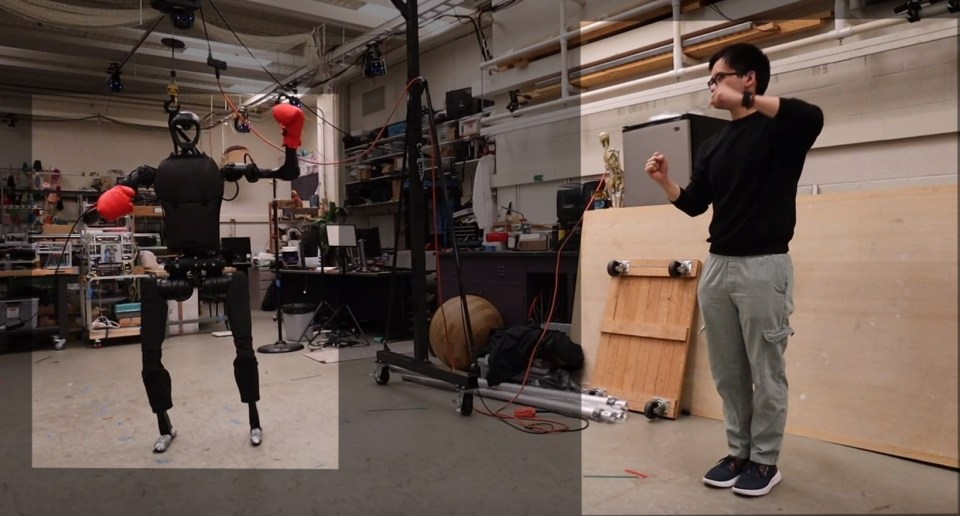 Humanoid seen copying guy's boxing moves in real-time