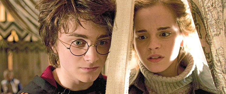 Daniel and Emma played Harry Potter and Hermione Granger in the hit film series