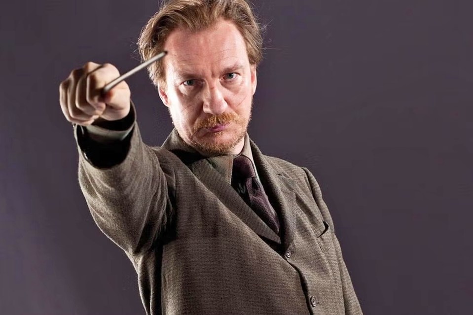 David Thewlis is best known for his role as Remus Lupin in the Harry Potter franchise