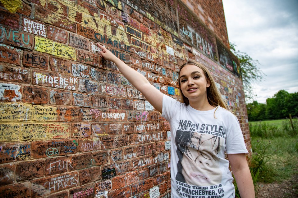 Harry Styles superfan Izzy Hawksworth leaves messages on Twemlow Viaduct