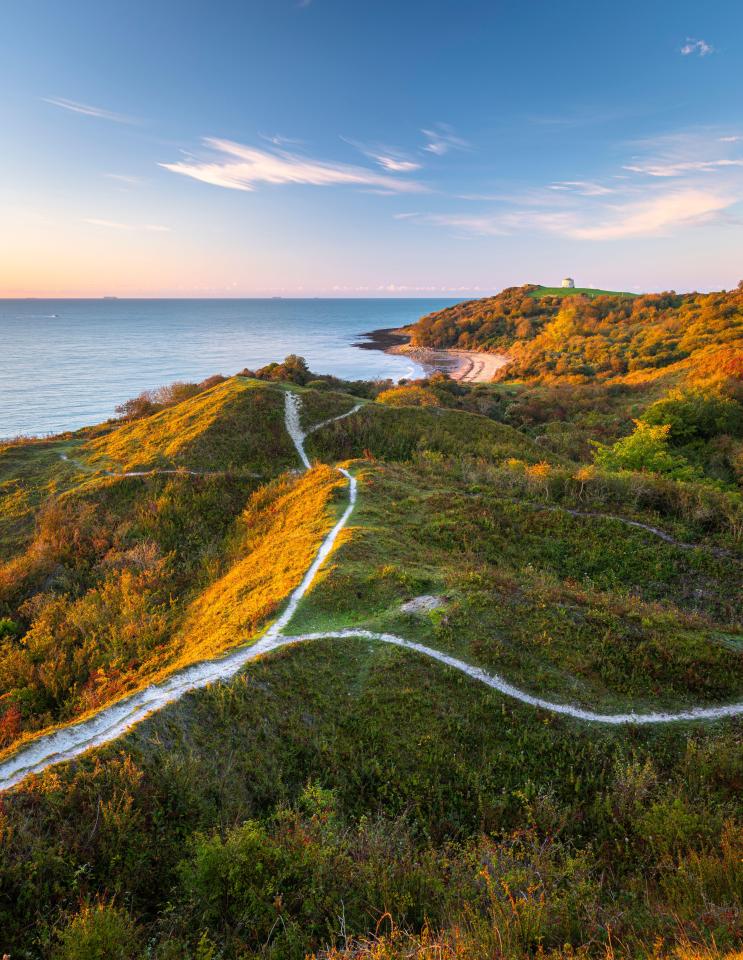 Folkestone Warren has been named one of the most beautiful places on earth