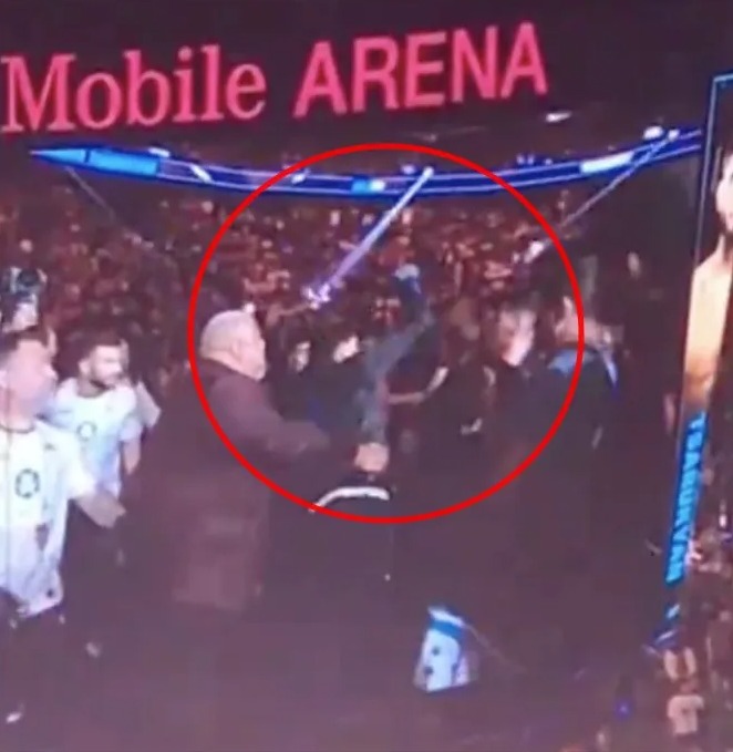 The Armenian punched a fan as he made his way to the octagon