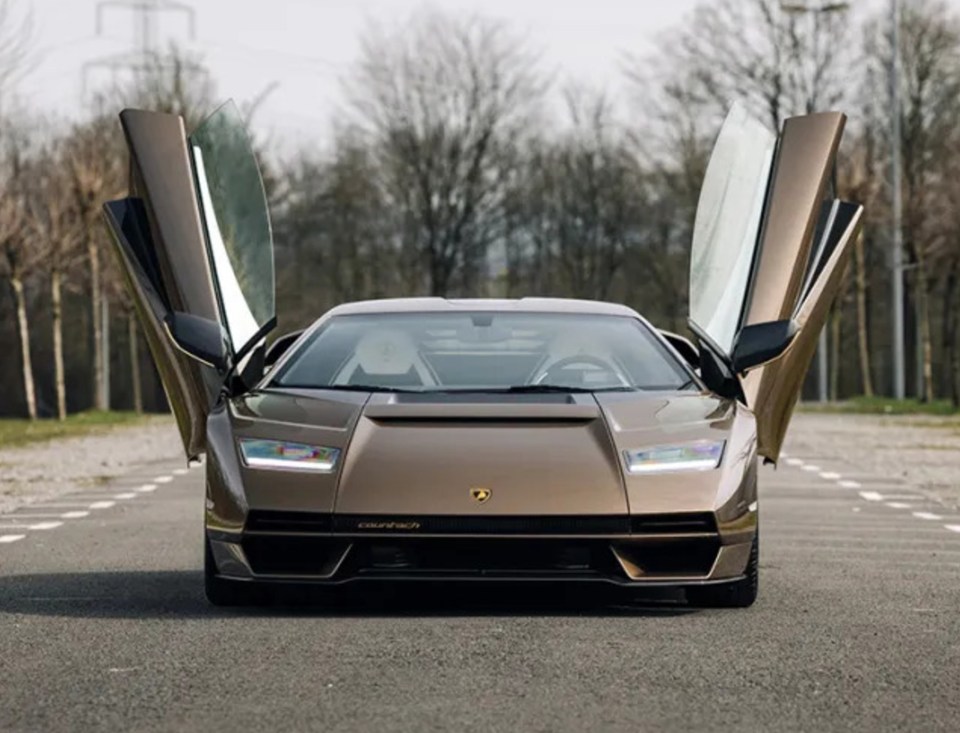 The supercar comes in a slick metallic brown colour and has the iconic scissor doors to match