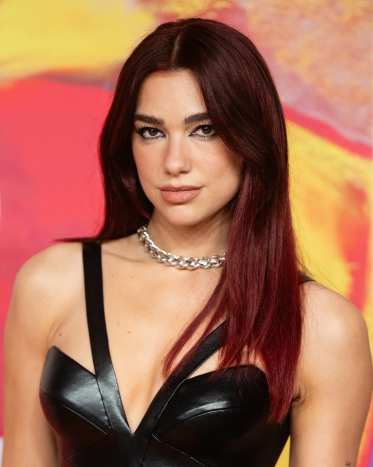 It appears New Rules singer Dua Lipa won't get a look in