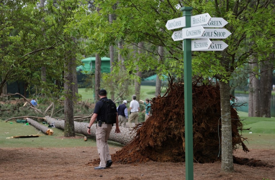 Three trees came down in the wind during the 2023 tournament