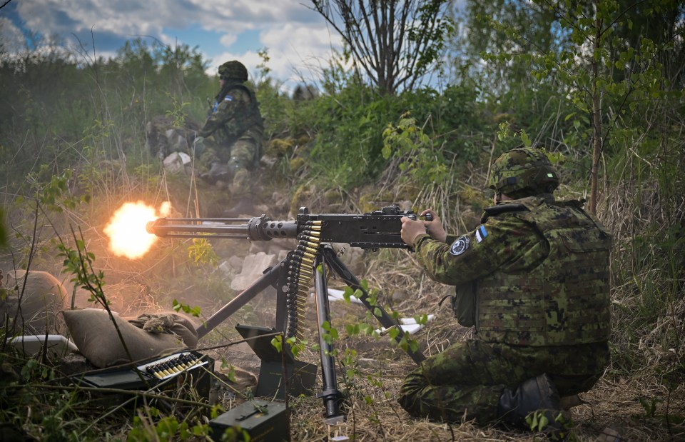 Soldiers from Royal Welsh Battlegroup take part in field exercises during NATO exercise Hedgehog