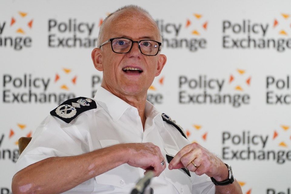 Sacking Met police chief Mark Rowley would not fix our flailing police forces