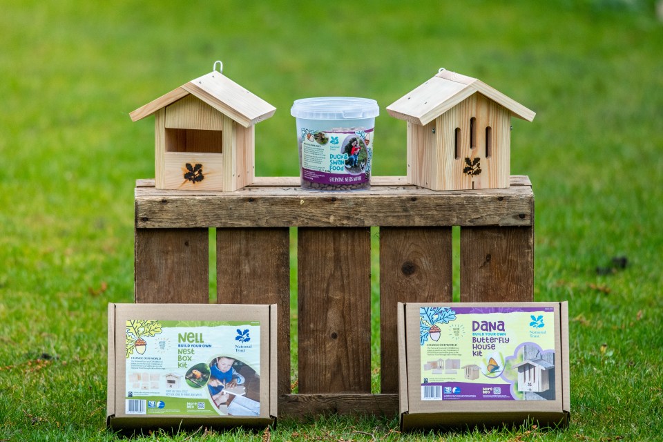 Get your kids involved with gardening with these build-your-own-bird boxes