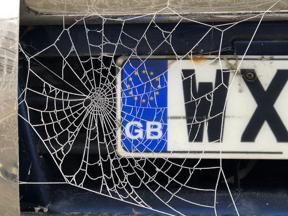 GB euro number plate with frozen spider’s web