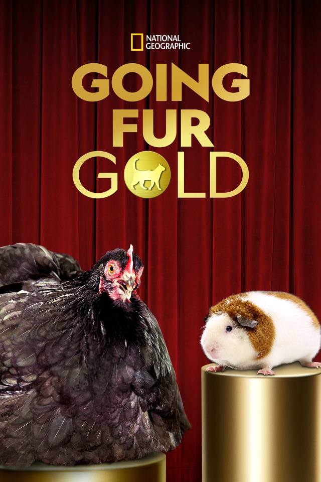 Going Fur Gold will be landing on Disney+ next week