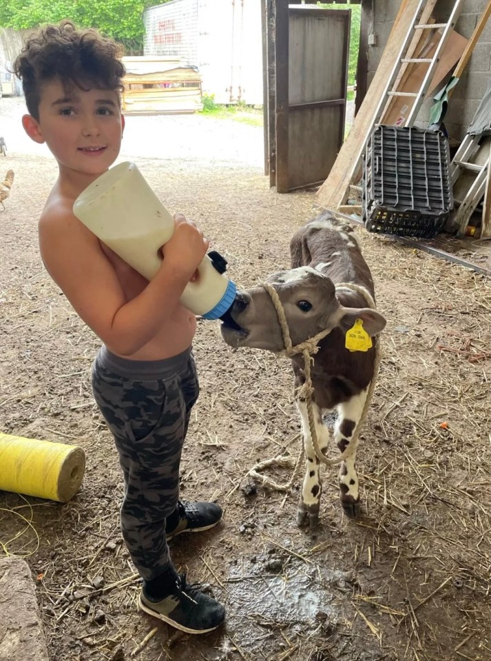 The youngster was going to feed the cows when the family's truck started to slide down a hill