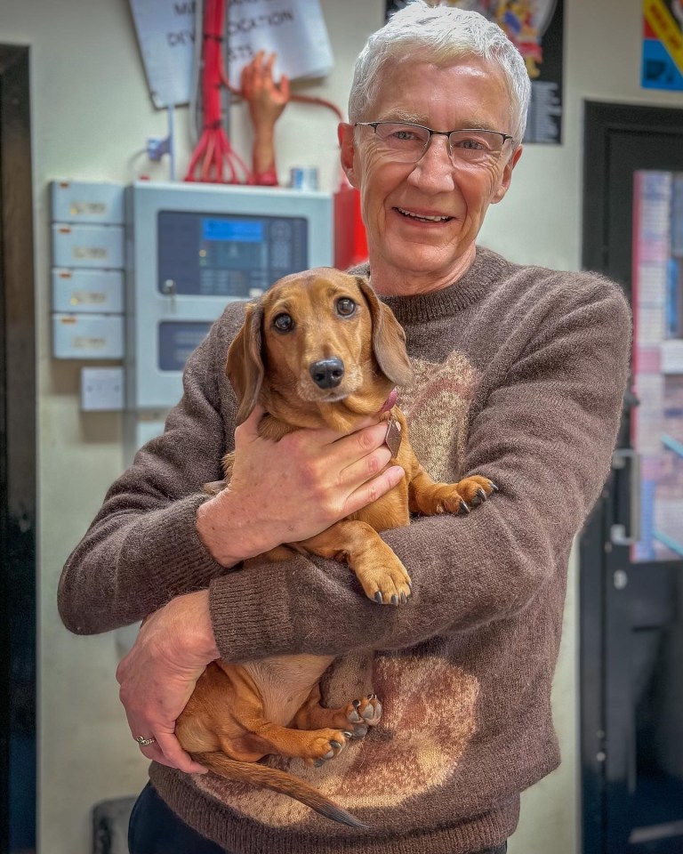 The show originally followed Paul as he visited the staff and four legged pups of Battersea Dogs & Cats Home