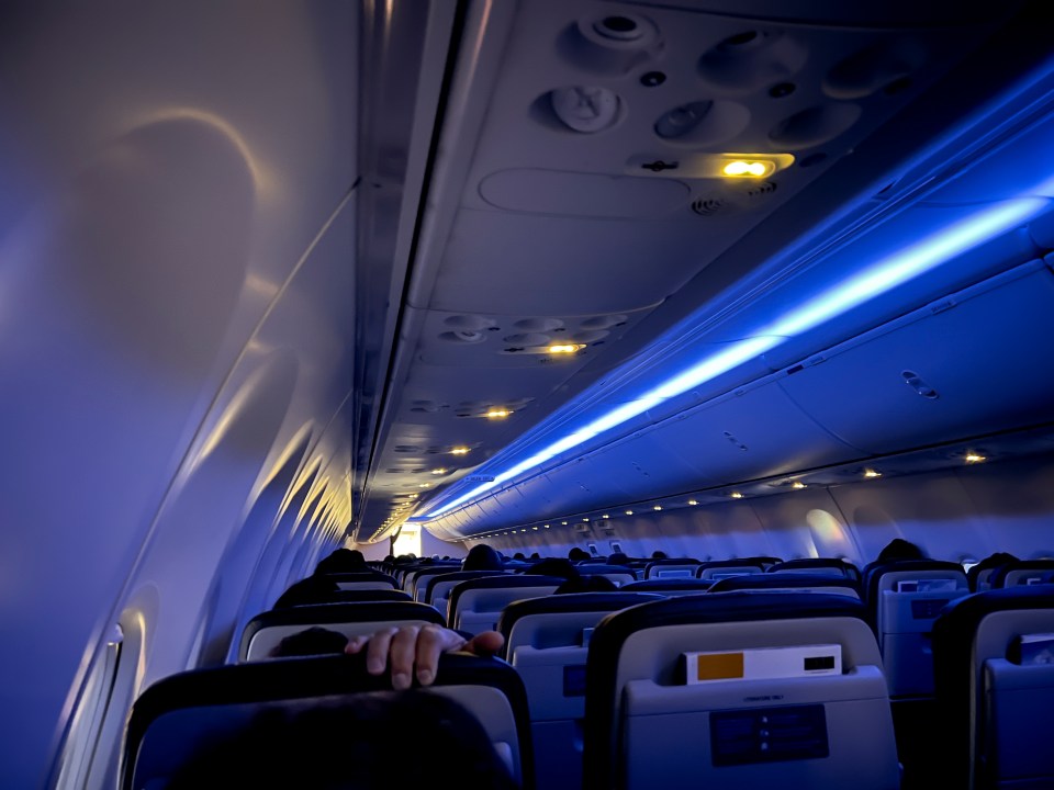 Illuminated airplane cabin on an early morning flight