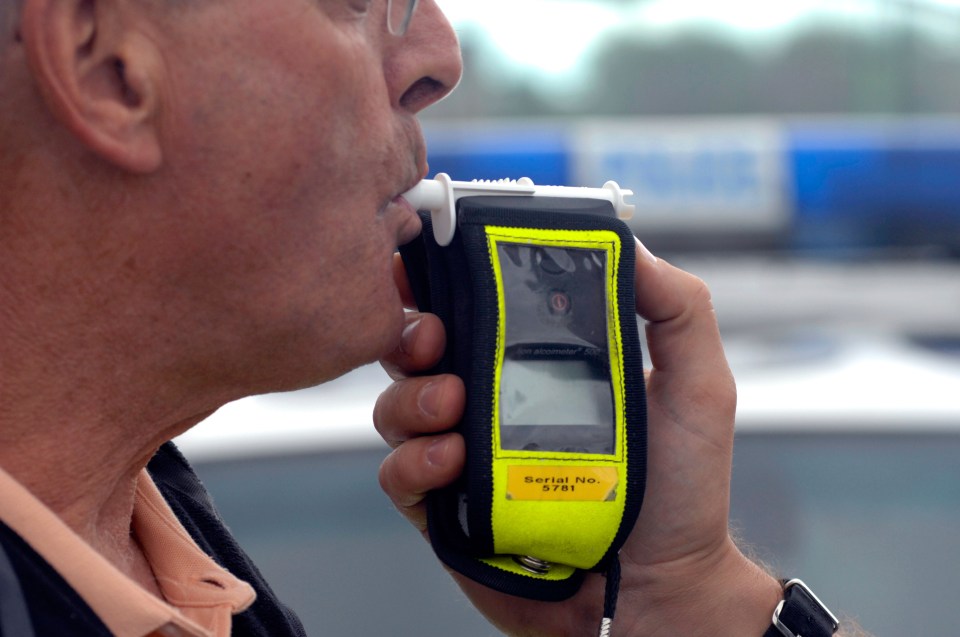 Under a quarter of a million drivers were stopped and breathalysed in 2022 (stock image)