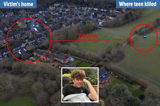 Olly was killed less than a mile from his home