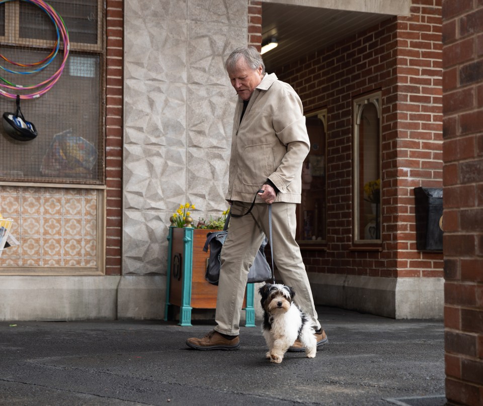 Roy's dog Freddie is taken by internet sleuths desperate to find evidence he murdered Lauren Bolton