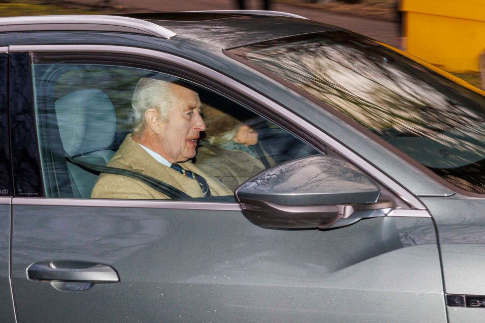 The monarch was spotted on Sunday for the first time since he announced his return to work