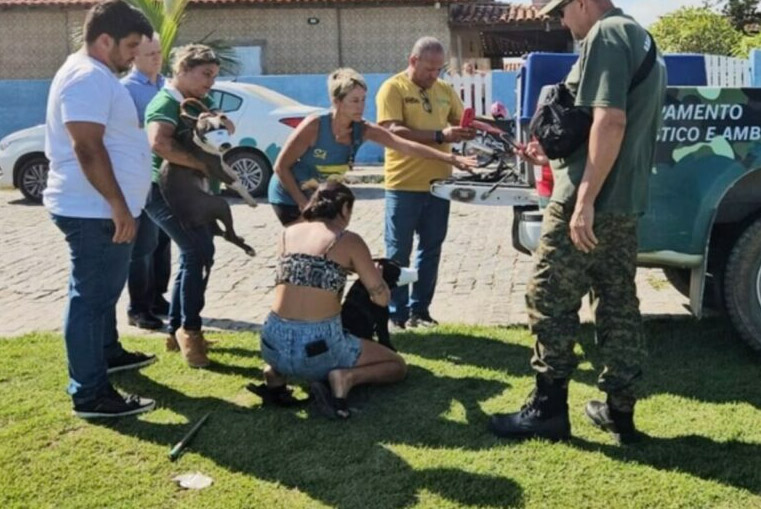 Brazilian authorities seized the dogs following the bloody attack