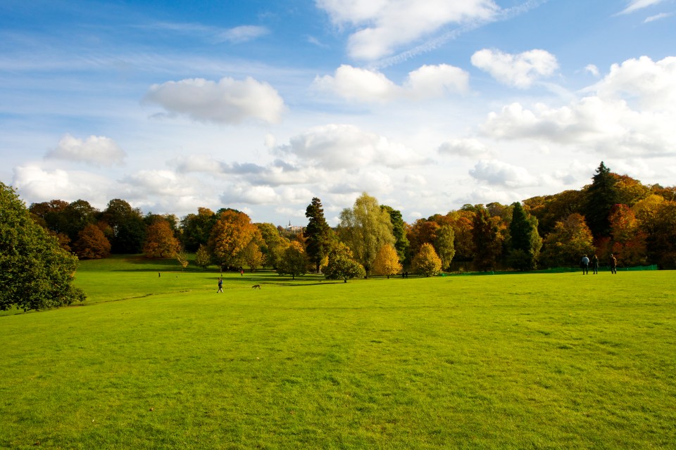 Taylor enjoyed walks on the Heath, which she sung about on London Boy and So Long, London