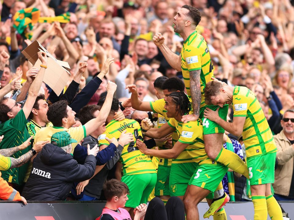 Marcelino Nunez celebrates Norwich's winner