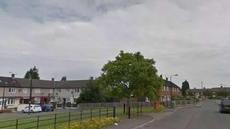 A schoolgirl has been rushed to hospital after a dog attack in Partington