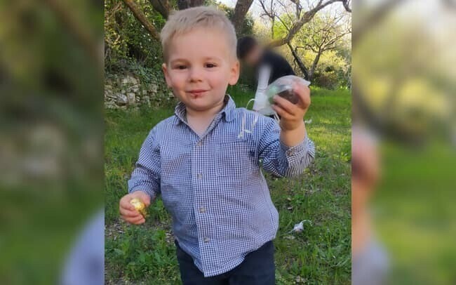 The partial remains of Emile Soleil, 2, were found on Saturday near to his village in the French Alps