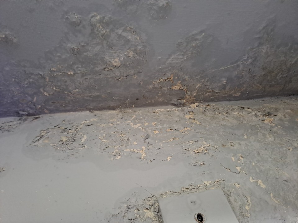 She says their South London home was covered in mould