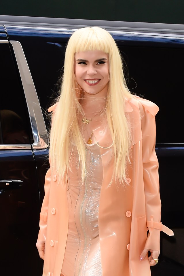 Singer Paloma Faith is considering a career change