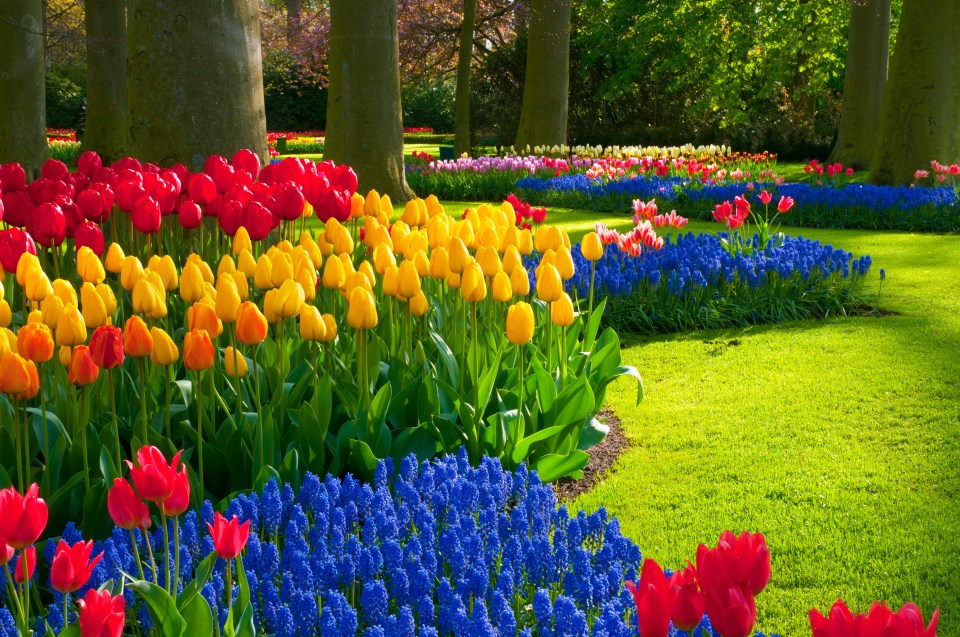 Every spring the garden opens to the public for two months