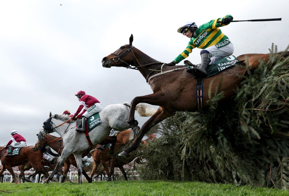 The new-look Grand National has divided opinion