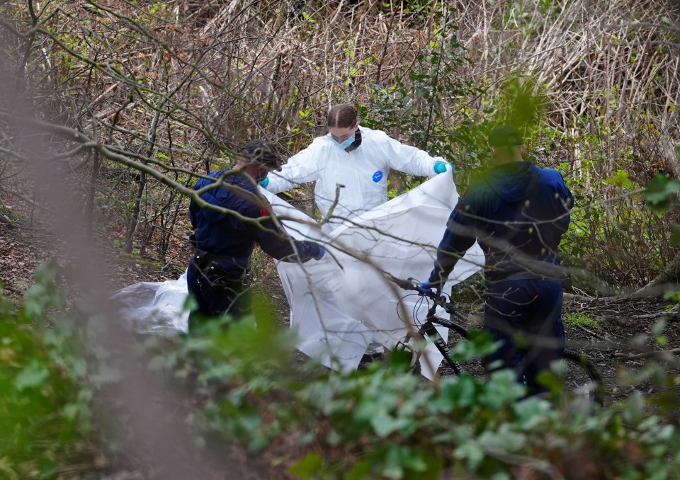 Forensic officers in the wetlands