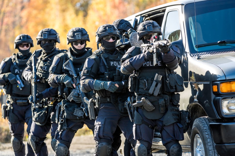 Swatting calls often spark massive armed police responses