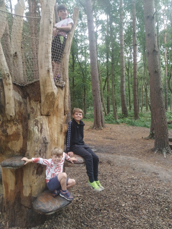 Catherine's children love playing at Calke Abbey's adventure playground in Ticknall