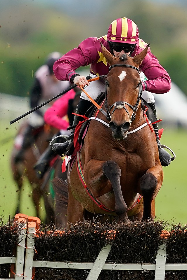 Rachael Blackmore riding Minella Indo at Punchestown in 2019