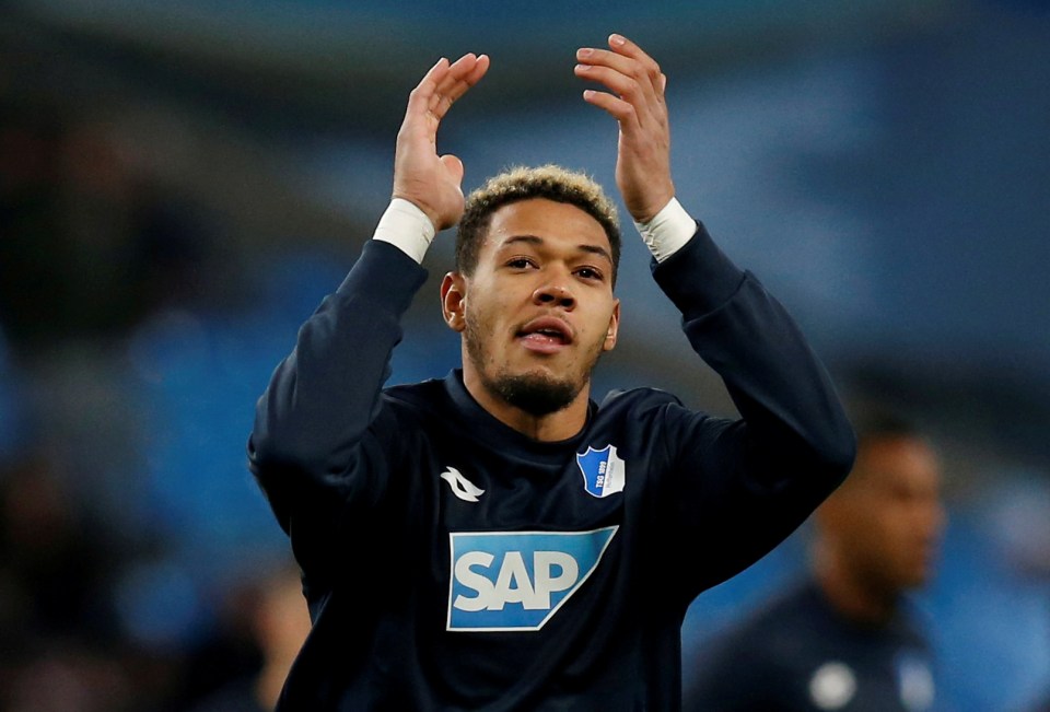 Joelinton played for Hoffenheim before joining Newcastle in 2019