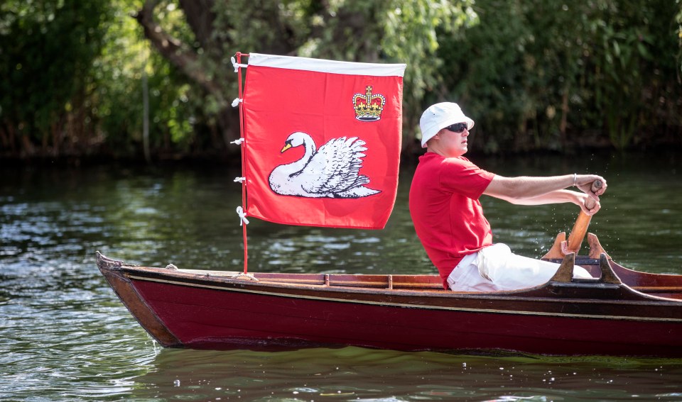 The King's swan keepers can sometimes be seen counting swans on the Thames