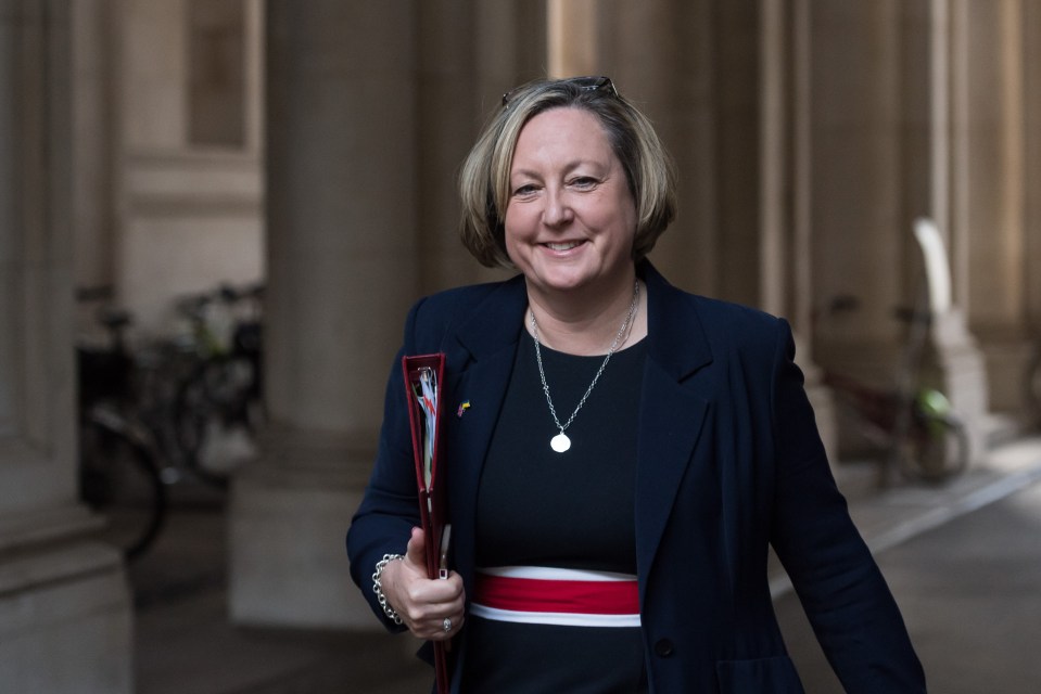 Foreign Office Minister Anne-Marie Trevelyan revealed she couldn’t back the plan