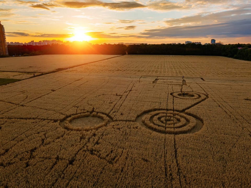 Mysterious crop circle in an oat field