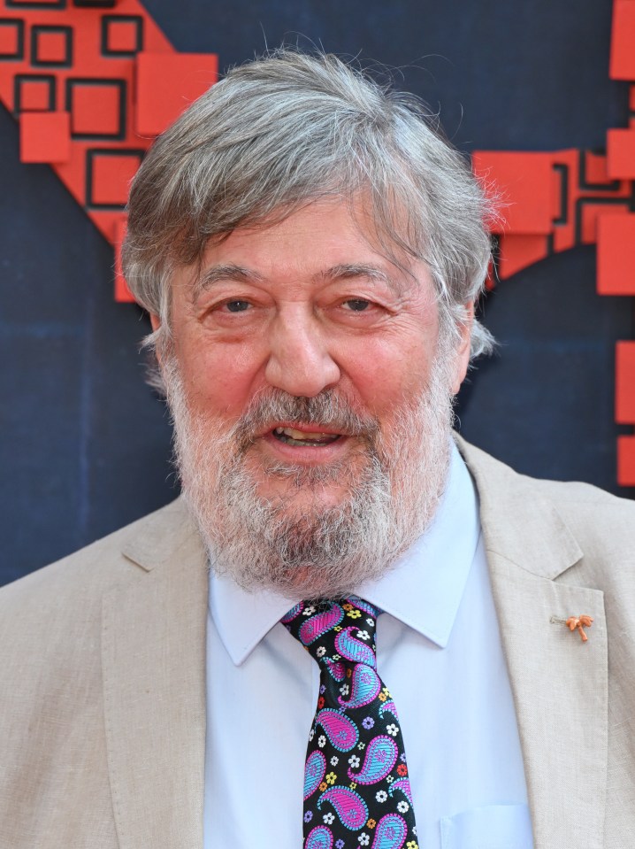 The series co-stars British legend Stephen Fry